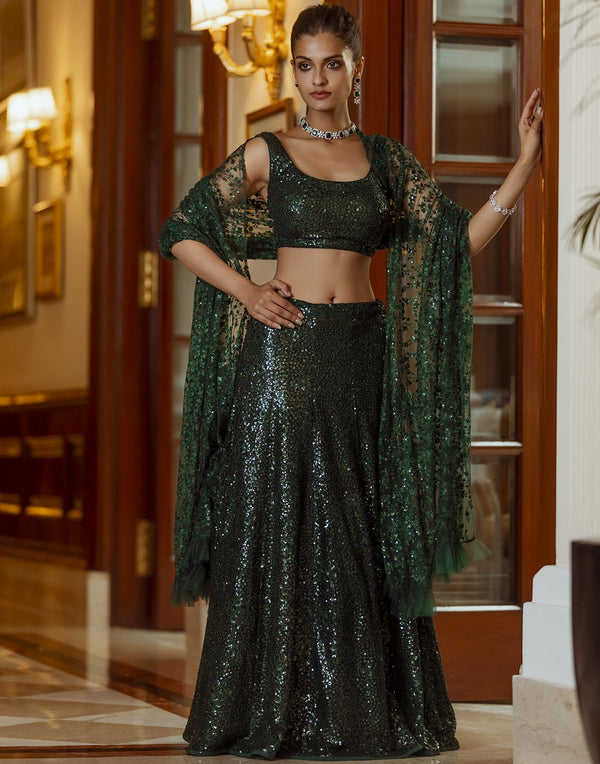 Sequence Embroidered Net Lehenga With Choli And Net Dupatta
