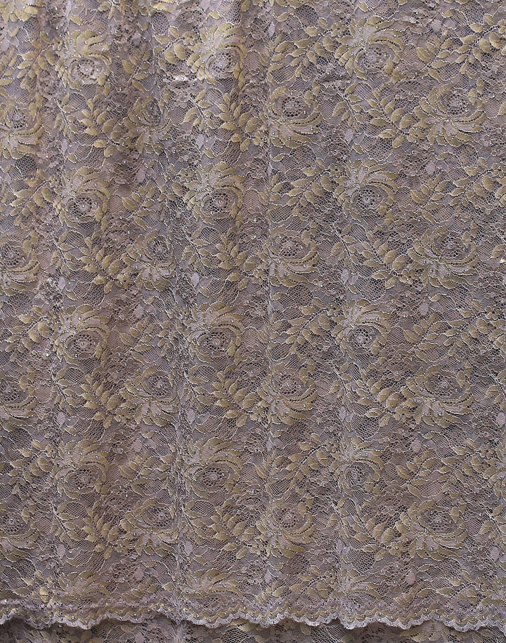 Lace saree with stone work (7657422278)