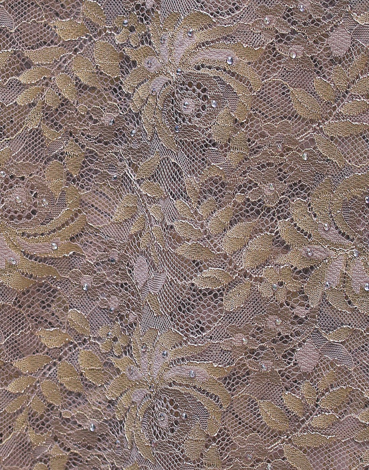 Lace saree with stone work (7657422278)